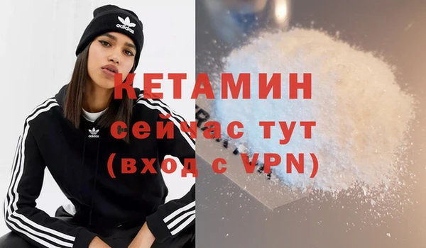 СК Ельня