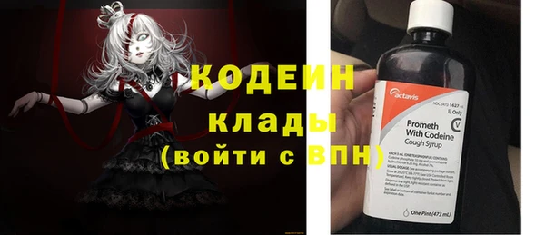 мет Инта