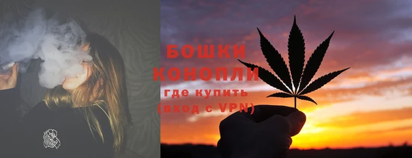 хмурый Белокуриха