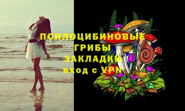 хмурый Белокуриха