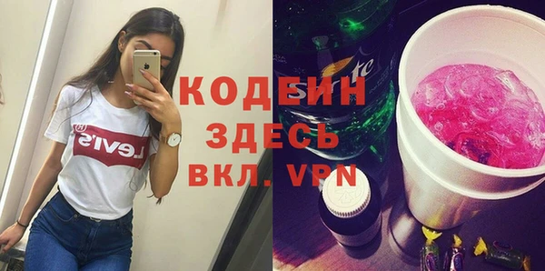 хмурый Белокуриха