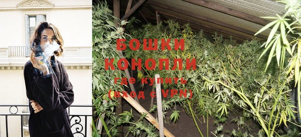 хмурый Белокуриха