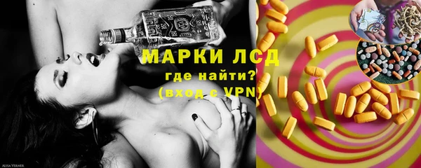 хмурый Белокуриха