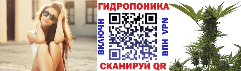 Конопля OG Kush  где можно купить   Рудня 